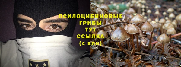 спайс Алексин