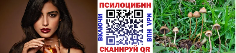 мега Чадан Галлюциногенные грибы GOLDEN TEACHER
